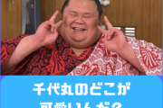 千代丸のどこが可愛いんだ・・・？