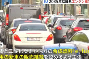 なんでドイツは電気自動車無理って言ってるの？