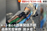 【悲報】モスキート音の被害者、症状は熱中症の疑いが強まりニュース動画や記事が一斉に削除される