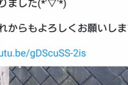 【朗報】女さん、たまたま飼う準備万端の状態でキレイな捨て猫を拾い、即youtubeデビュー