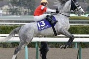 【競馬】今後のイクイノックスのローテーション・・・