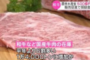 【和牛が在庫いっぱいなの！】政府与党、和牛を売りさばくために500億円の投入を決定　学校給食で和牛を使う際に購入を補助
