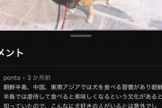 【悲報】韓国在住YouTuber「柴犬韓国で人気すぎて草ｗ」←コメント欄が地獄すぎて草ｗｗｗｗｗ