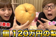 【悲報】ヒカキン「梨食べてみた！w(500万再生)」 ワイ「お散歩するよ(10万再生)」