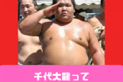 いうほど千代大龍って人気力士か？