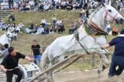馬にソリを牽かせて速さを競う東北馬力大会、動物愛護団体の告発を受けて中止に