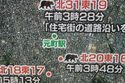 【速報】?札幌市街地にクマ出没?　これまでに4人が襲われ怪我