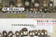 【画像】タヌキを盗みまくった男、逮捕ｗｗｗｗｗｗｗｗｗｗｗｗｗｗ