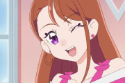 【画像】お姉さんプリキュアたまらんよなｗｗｗｗｗｗｗｗｗ