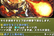 【パズドラ】真田弦一郎どう考えても強い！だがみんなが言うように〇〇が違う…