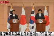 【韓国の反応】慰安婦合意憲法訴願 "却下" 決定に ... 日本マスコミの反応