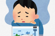 【悲報】メダカも人間と同じで うつ病 になるらしい・・・