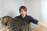 【悲報】きまぐれクックのかねこさん、８年間で激太りしてしまうｗｗｗｗｗｗｗｗｗｗｗｗ
