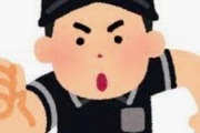 【疑問】球審白井を擁護してる奴って『この点』を忘れてるよなwww