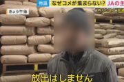 米卸売業者「政府に備蓄米を出されると、今仕込んでる米の価格が暴落して我々が死んでしまう」←ストック転売屋こいつじゃねーかｗｗｗｗ