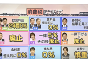 【悲報】衆院選、与党も野党も雁首揃えて消費税減税を主張する異常事態