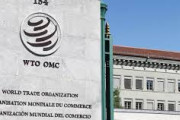 【悲報】韓国政府さん、いきり立ってWTO提訴を宣言した結果⇒WTO「コロナの影響で数か月休業中だぞ、ちゃんと確認しろ」