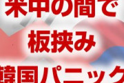 韓国が米中の板挟みでパニック状態！　米国「防衛費5倍出せ」　中国「ミサイル置くな」　文在寅どうすんのこれ…