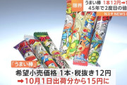 外国人「日本企業はお菓子を3円値上げするだけで謝罪するらしい…」