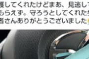 【画像】車カスさん。信号のない横断歩道で歩行者に譲られ先に行ってしまいお巡りさんに切符切られる。