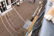 【ネコ】屋根の上をお散歩する猫カメラの動画が136万再生。