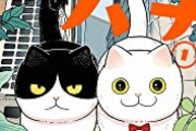 【朗報】ネットで有名な画像の子、ガチで育成成功していたｗｗｗｗｗ
