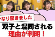 【日向坂46】双子と混同される理由が判明！【日向坂・日向坂で会いましょう】