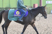 【来年は秋天に出るぞｗ】グランアレグリア　藤沢調教師「タイキシャトルの2000mより自信ある」ｗｗｗｗ
