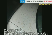 【悲報】花火の燃えカスで新車を駄目にされた人、ボロクソに叩かれる