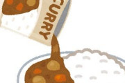 【朗報】レトルトカレー、普通に美味い