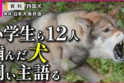 【悲報】公園で12人を噛んだ犬の飼い主、反ワクチンの者であることが判明