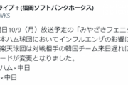 日本ハム、インフルエンザの影響でチーム編成が困難となり明日のフェニックスリーグ中日戦が中止に