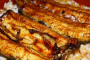 うなぎって本当に美味しいのかちょっと疑問なとこあるよな