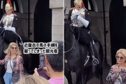 近衛兵の乗る馬の手綱を握ってしまった観光客、激しく叱咤される