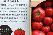 【画像】見た目が怖い「尻腐れ」トマトを「闇落ちとまと」と名付けたらヤバいことに・・・