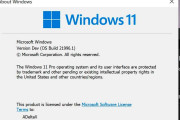 【速報】「Windows 11」は32bit CPUをサポートせず ～セキュアブート、TPM 2.0も必須❓❗