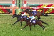 クロノジェネシスがドバイシーマ勝ったら歴代牝馬でウオダスブエナ以上は確定するよな？