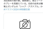 【やきう】 關口赤彗星(せきぐち・しゃあ)君、プロ志望届を提出へ❗❗