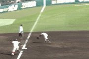 【GIF】甲子園審判の流れるような動きで草