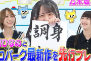 【動画】【乃木坂46】ピコパーク×ソニック公式コラボ最新作を6期生・大越ひなのと先行プレイ【ソニックピコパーク】