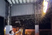 【動画】蛍光看板に集まった虫をスマホライトで誘導する男。