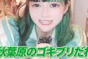 【動画】秋葉原のメイドさんたち、弱男を煽ってしまうｗｗｗ「金も無いくせに話しかけんな！秋葉原のゴキブリども」