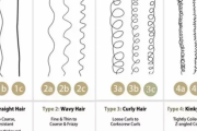 アメリカ人「髪の毛のタイプは12種類ある、お前らどれに当てはまる？」