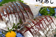 もしかしてアジが1番美味い魚なんじゃね…？