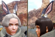 【モンハンサンブレイク】フロンティアからの重ね着が普通に登場してるのに何でウサ耳”だけ”なんだろうな？