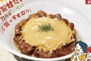 【悲報】すき家さん、チーズ牛丼が売れすぎて調子に乗ってしまう…