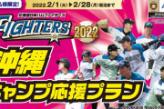 ぶっちゃけ今年プロ野球キャンプできると思う？