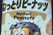 【画像】新発売のガリガリくんのねっとりピーナッツ味買ったわ