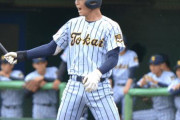 センバツ出場校、関東の半分が東海大
