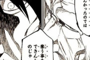 【BLEACH】山本元柳斎重國「お主は儂の卍解を”奪わなかった“のではない。“奪えなかった”んじゃ」